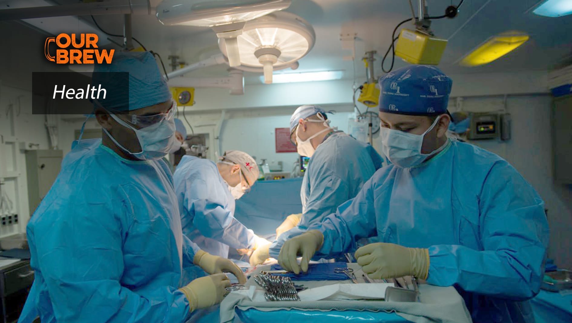 Your Appendix is Not, in Fact, Useless. This Anatomy Professor Explains