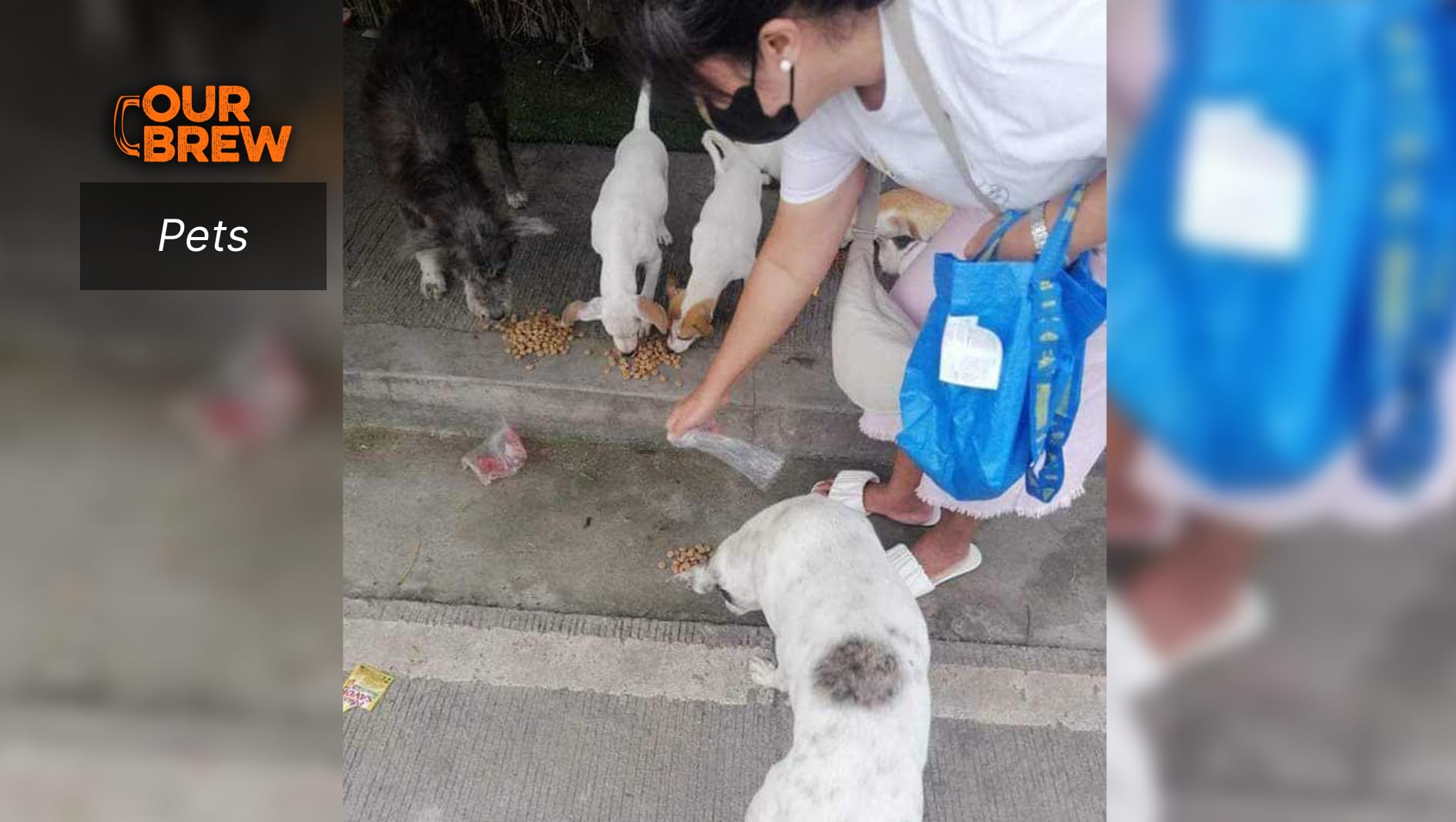 Upholding Compassion: Advocating for the Care of Philippine Prison Strays