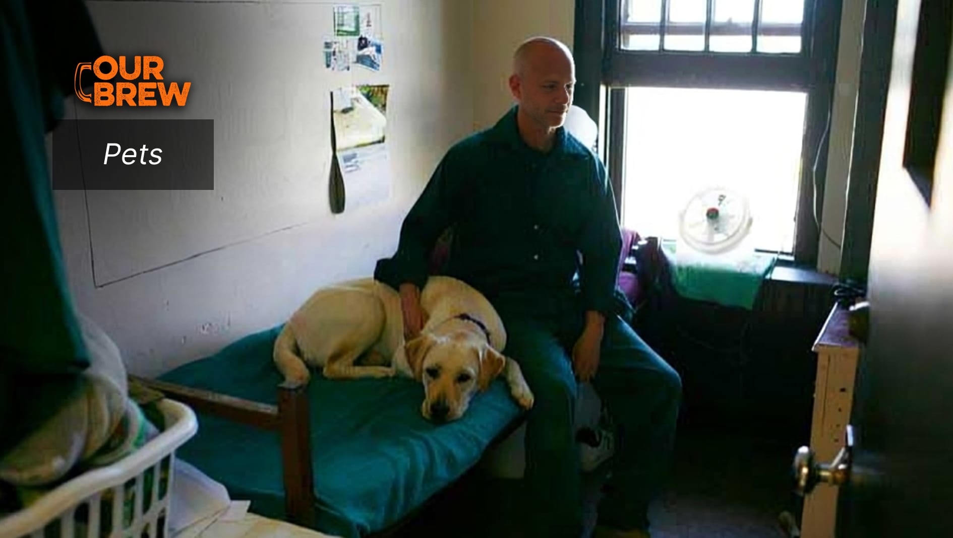 Save All Asks Bucor: Create Transformative Programs Rather Than Ban Strays From Prisons