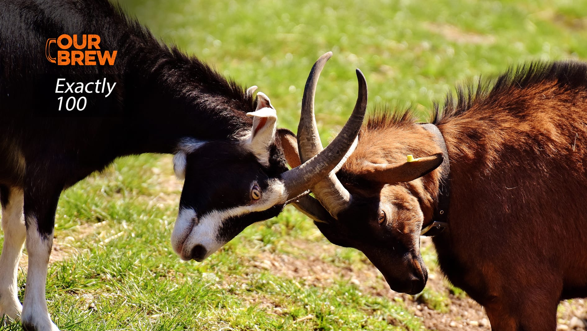 Today’s Exactly100: Fragile Alliances