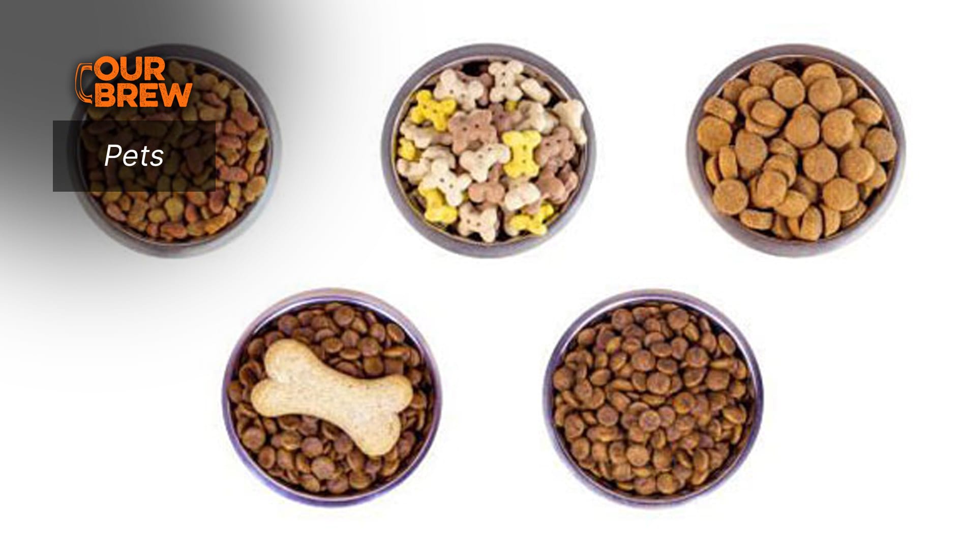 How to Choose Dry Dog Food and Cat Food