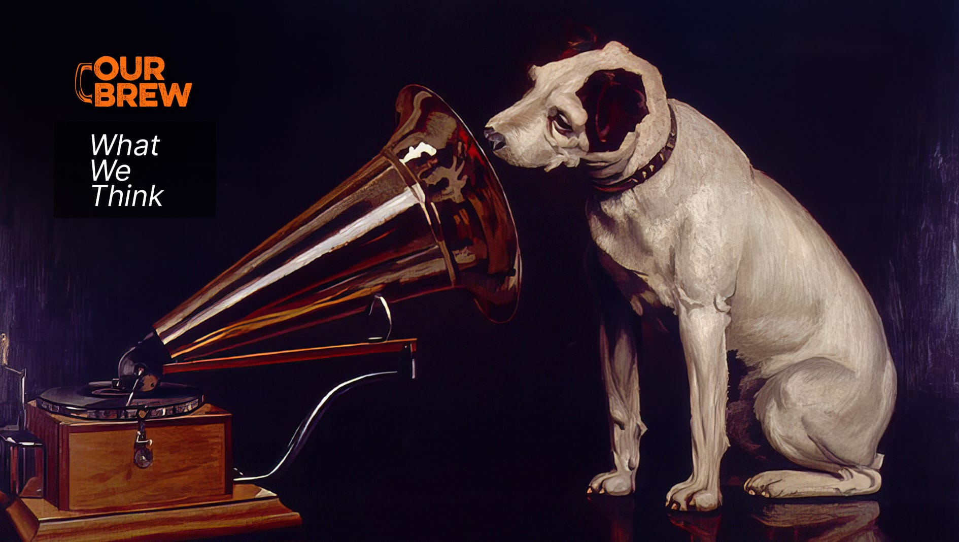 Imagine If Government Actually Listened to the People