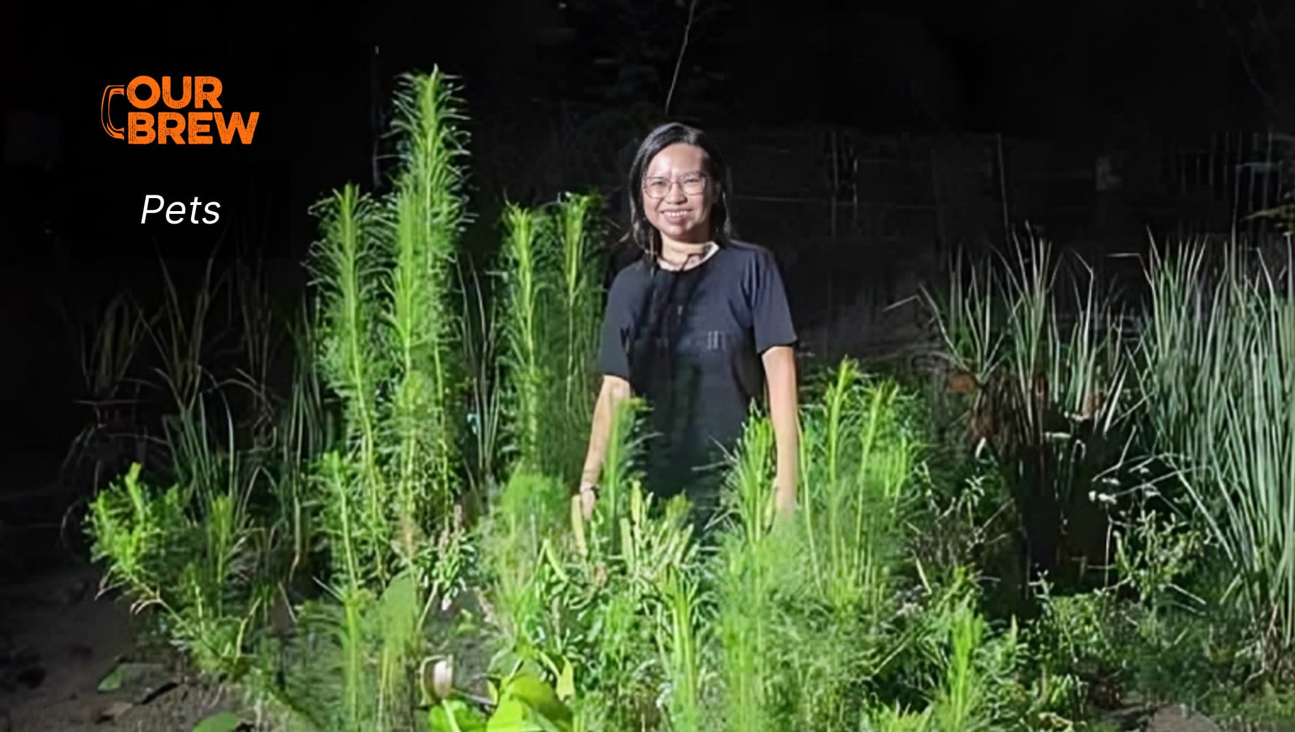 Healthy Dill for a Healthy Dog