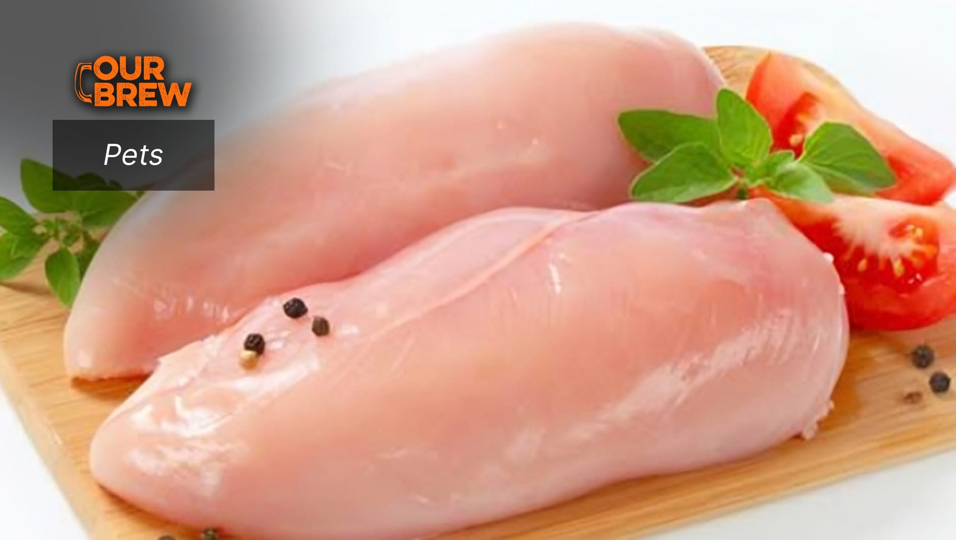 Is Your Cat Depressed?