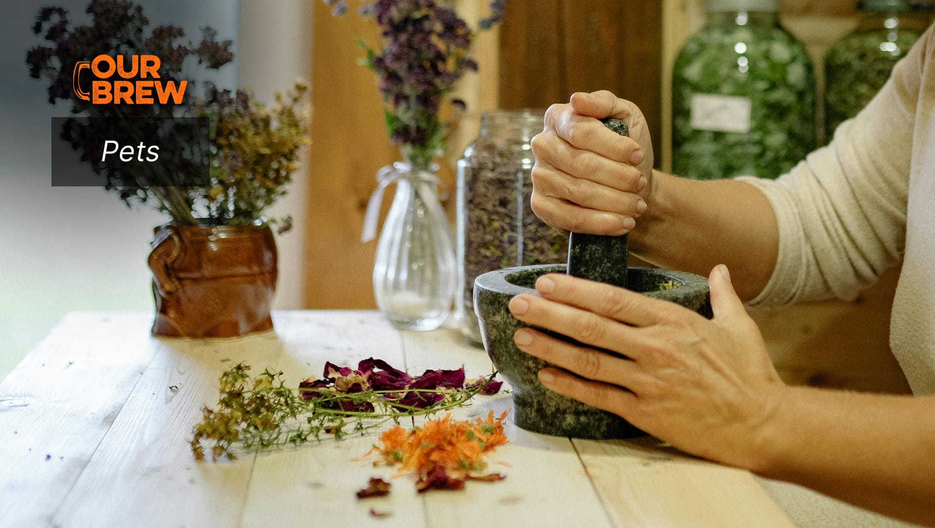 Natural Ways to Treat Fleas and Ticks on Pets