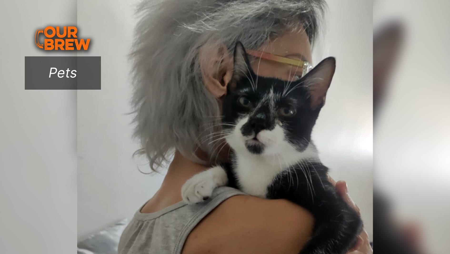 How to Know If Your Cat Truly Loves You