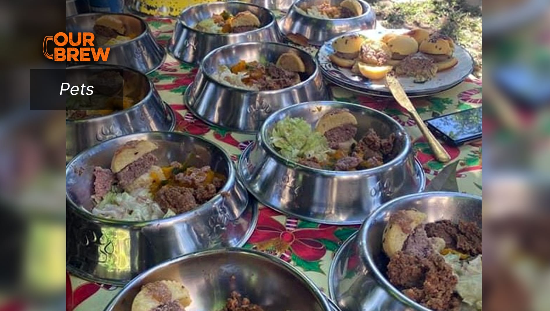 Pizza and Burgers for Humans Are Bad for Dogs