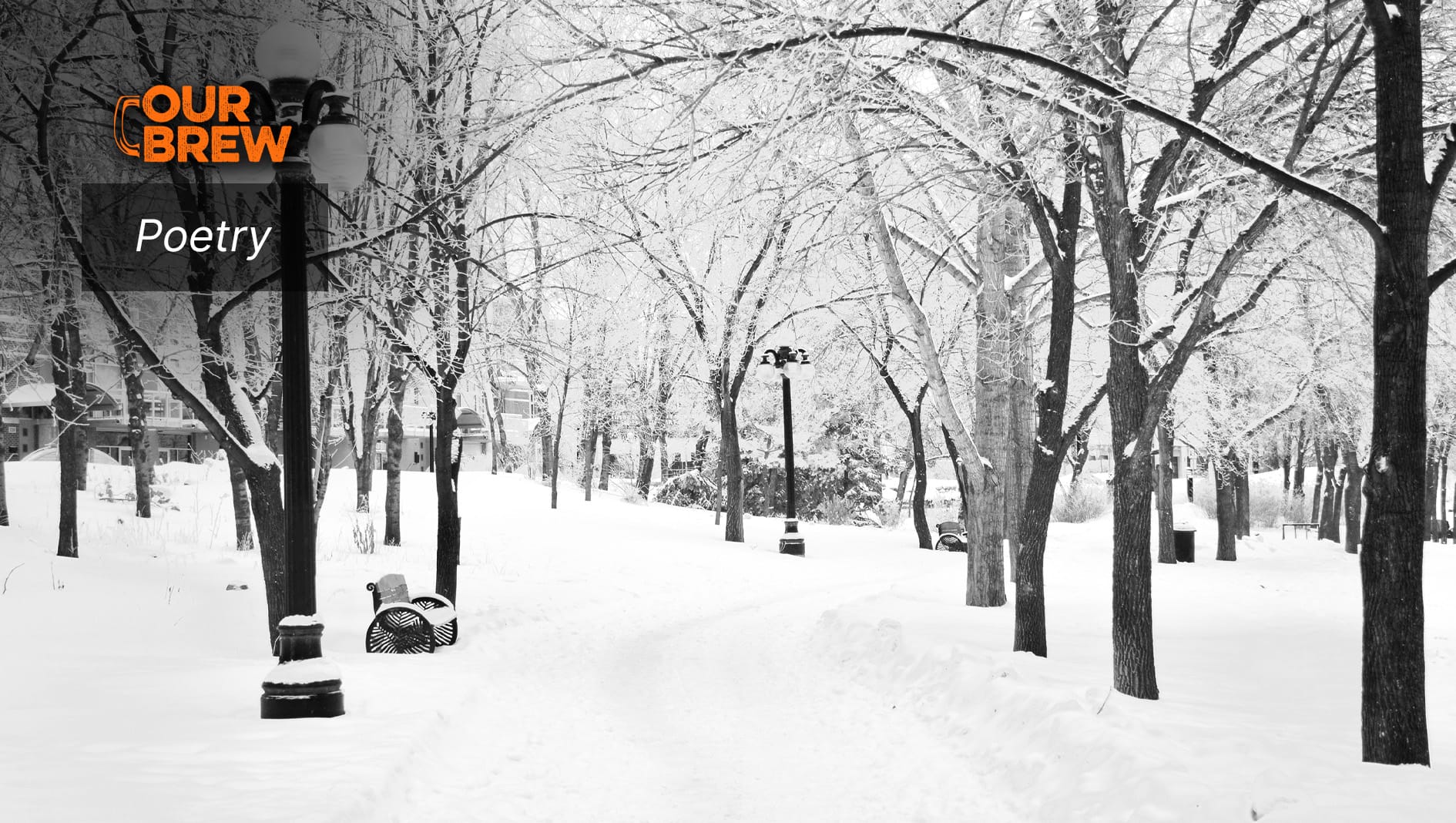 Tropical Soul in Winter