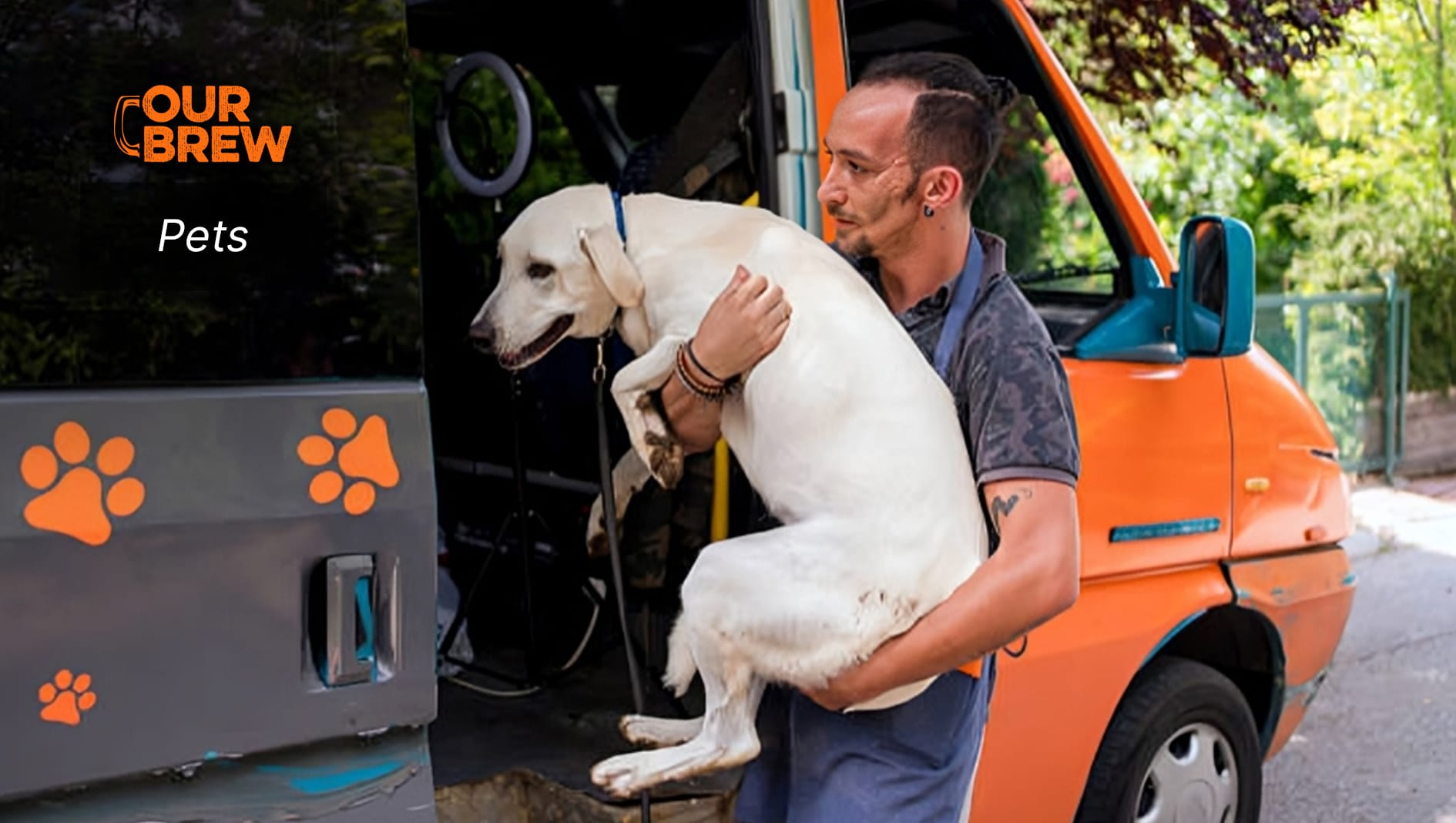The Right Way to Pick Up, Hold, and Carry Your Dog