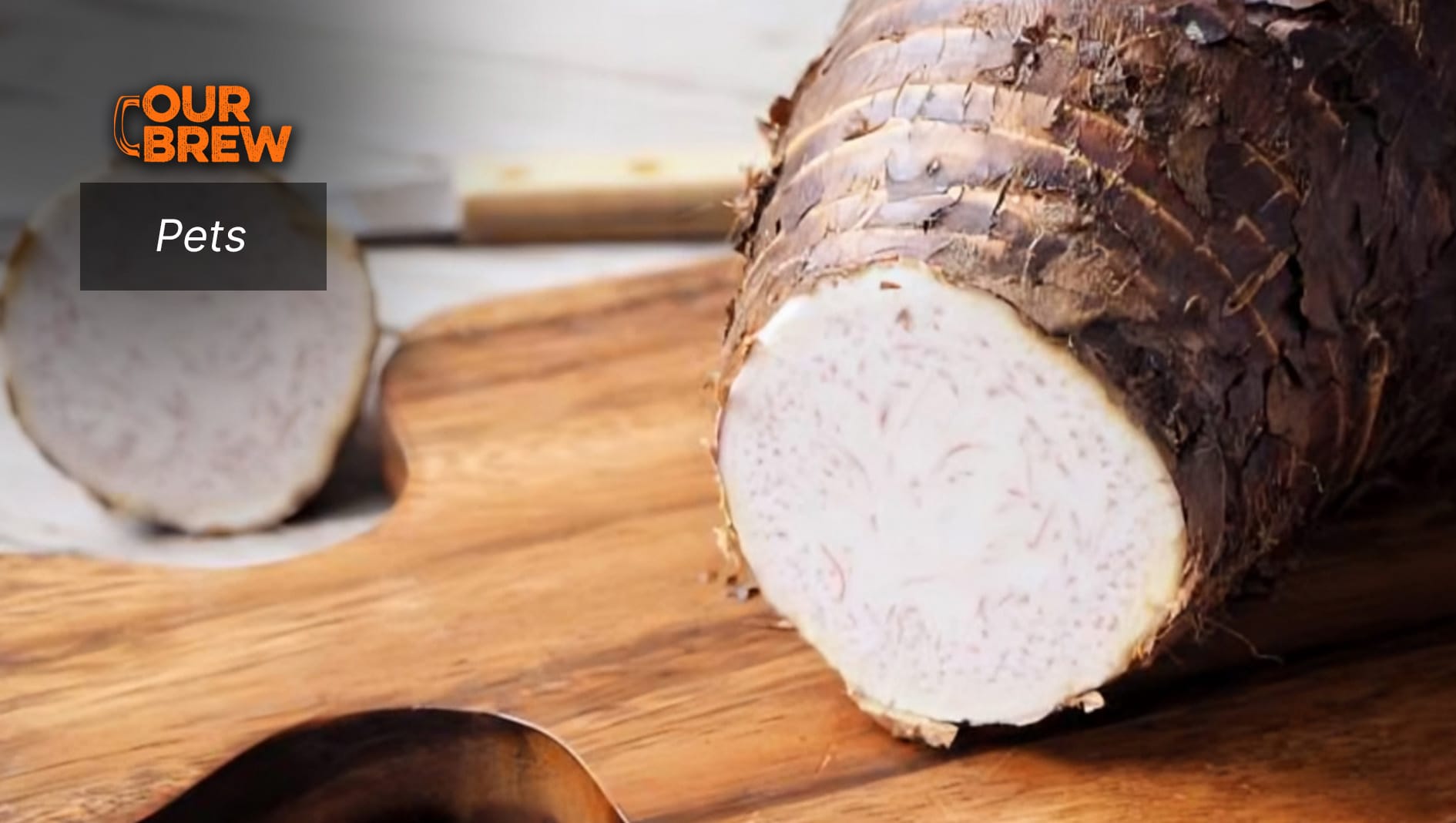 Beware: Taro (Gabi) is Toxic to Dogs